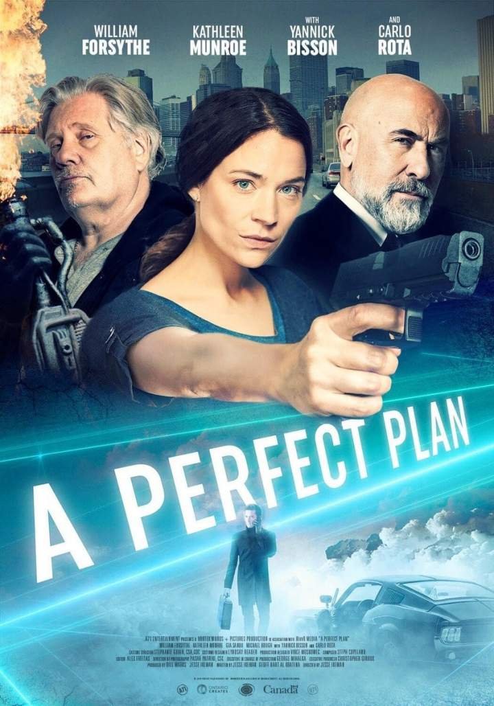 A Perfect Plan (2020) Download
